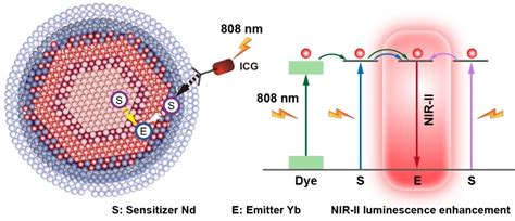 苏倩倩副研究员团队在《chemical Engineering Journal》上发表最新研究成果 上海大学环境与化学工程学院