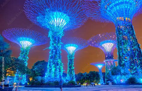 Gardens by the Bay at night in Singapore Stock Photo | Adobe Stock