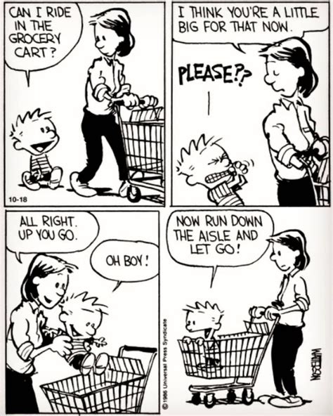 Calvin And Hobbes Daily On Instagram Please Mom