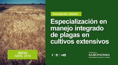 Especialización En Manejo Integrados De Plagas En Cultivos Extensivos