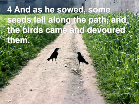 Ppt Jesus Parable Of Four Hearts The Sower And The Good Seed Matthew