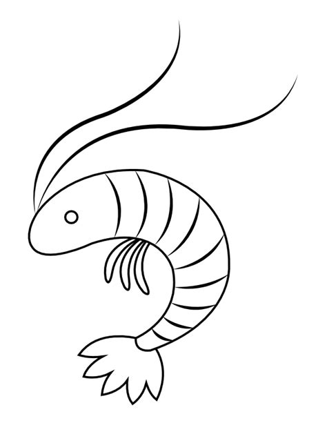 Shrimp Coloring Page