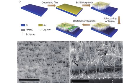 Growth Of Aligned SnS Nanowire Arrays For Near Infrared Photodetectors