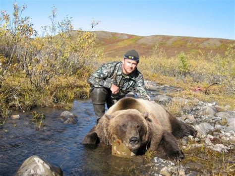 Grizzly Bear Hunting Gallery Arctic North Guides