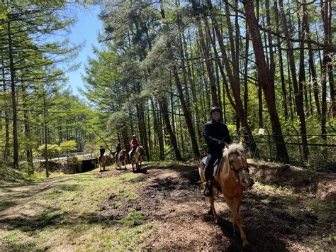 外乗 カナディアンキャンプ乗馬クラブ 八ヶ岳