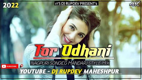 Tor Odhani To Udi Udi Jaye La Nagpuri Song Cg Mandar Mix Song New