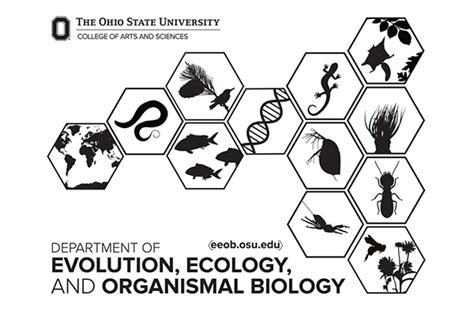 Eeob Publications May May Department Of Evolution Ecology And