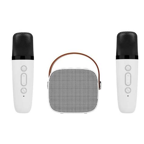 Deux Micros Blancs Mini Micro Sans Fil Bluetooth Petit Haut Parleur