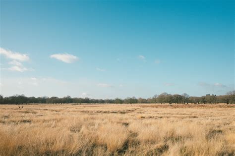 Landscape Day Land Non Urban Scene Rural Scene Outdoors Prairie