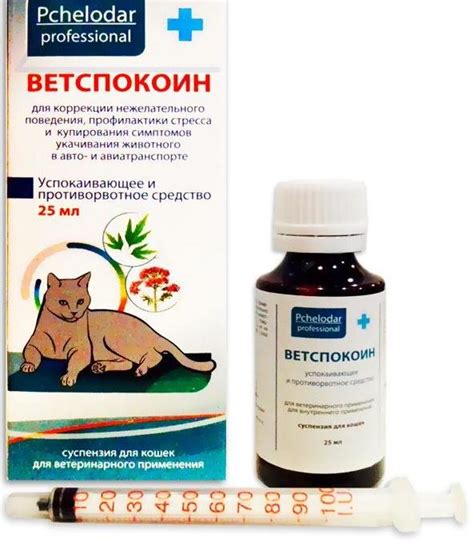 Снотворное для кошек: виды препаратов, особенности использования, отзывы