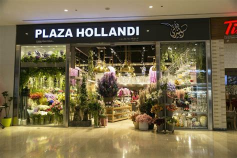 Plazza Hollandi Qatar Living