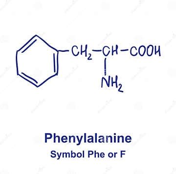 Phenylalanine Chemical Structure. Vector Illustration Hand Drawn. Stock Vector - Illustration of ...