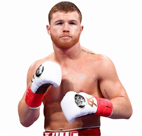 How To Watch Canelo Vs GGG III On Firestick Live Stream