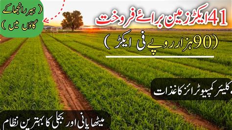 Agriculture Land For Sale Punjab In Pakistan Land For Sale Punjab