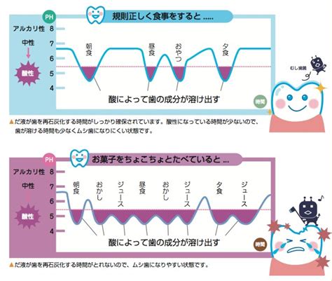 歯の豆知識 第83回 予防の常識・非常識 歯の豆知識 岡山市のくれいし歯科クリニック