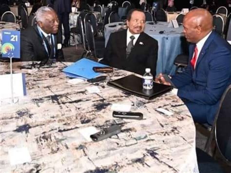 Sommet Etats Unis Afrique Change Paul Biya Tony Elumelu