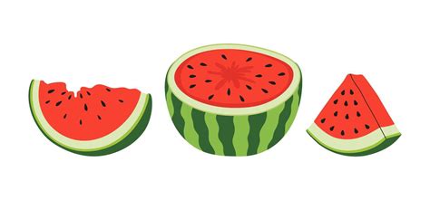 Fresh And Juicy Whole Watermelons And Slices Fruit Summer Illustration