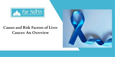 Causes And Risk Factors Of Liver Cancer An Overview