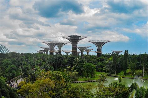 Supertrees in Gardens by the Bay · Free Stock Photo