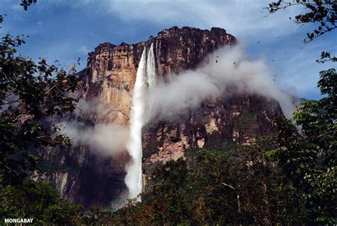 Auyán Tepui in Bolivar, Venezuela