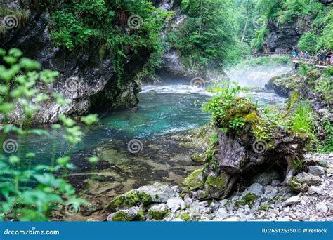 Vintgar Gorge in Bled, Slovenia Stock Photo - Image of spring, nature ...