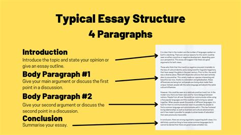 Typical-Essay-Structure-4-Paragraphs - TED IELTS