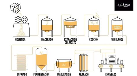 C Mo Se Hace La Cerveza Artesana Proceso De Elaboraci N Brewery