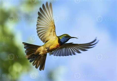 AI Generated Olive Backed Sunbird Yellow Bellied Sunbird Flying In The