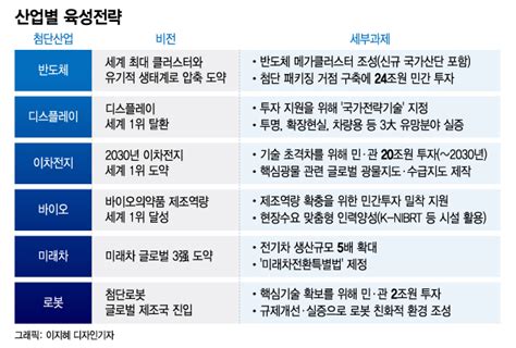 세계최대 반도체 산단 디스플레이·이차전지 세계 1위육성전략은 네이트 뉴스