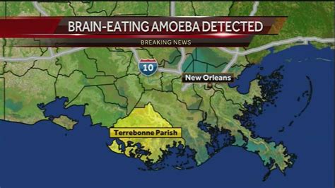 Brain Eating Amoeba Found In Terrebonne Parish Water System Officials Say