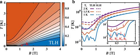 Isentropic Curves Of The Triangular Lattice Heisenberg TLH And Square