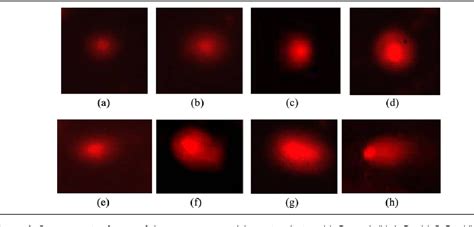 Figure From Evaluation Of Gamma Radiation Induced Dna Damage In Aedes