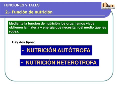 Ppt Funciones Vitales De Los Seres Vivos Powerpoint Presentation Free Download Id1304475