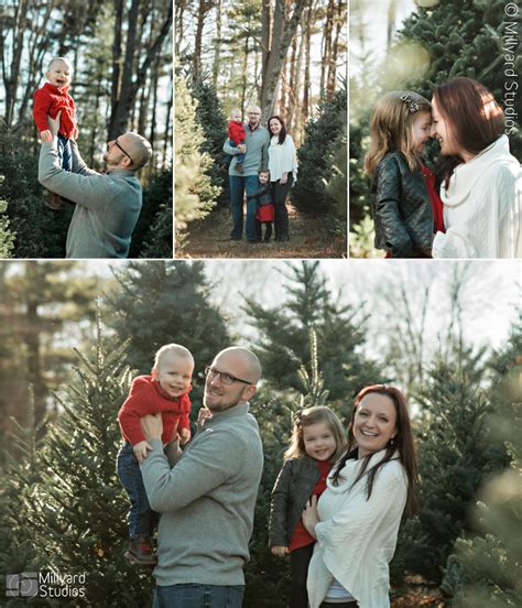 Christmas Tree Farm Photographer New Hampshire | Millyard Studios