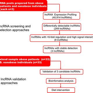 Flowchart Of Long Noncoding RNAs LncRNAs Screening And Validation In