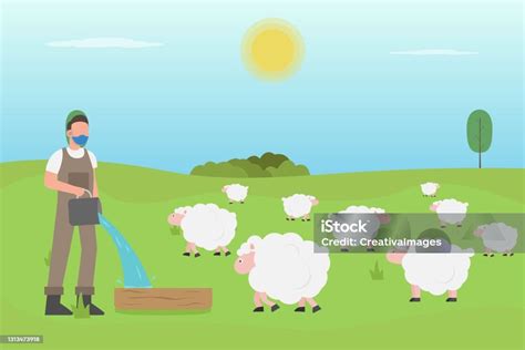 Young Farmer Feeding His Sheep In The Farm Stock Illustration