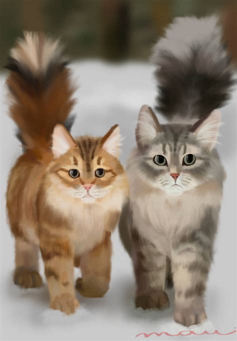 Maine Coons By Snorney On Deviantart