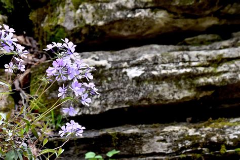 Work With Me — Gert Comfrey, MTS, LMFT