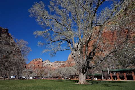 The Best in Zion National Park Lodging - No Back Home