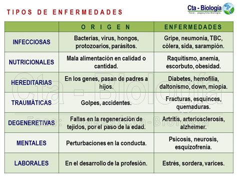 Biología Didáctica Ingeniería Bio 9 Salud Y Enfermedad Sistema Inmune