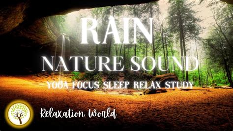 Rain Sounds For Sleeping Instantly Fall Asleep With Rain And Bird