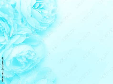 Beautiful abstract light blue flowers on white background, white flower frame, blue leaves ...