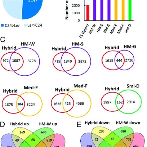 Transcriptome Analysis Of Parents Hybrid And Hybrid Mimics A Genes