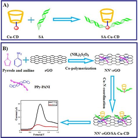 A And B Cv Of Different Modified Gces In 5 Mm Fe Cn6 4−3− C And D Download Scientific