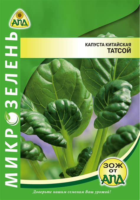 Микрозелень Капуста китайская Татсой - купить в Минске|по Беларуси с ...