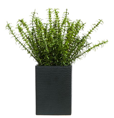 Grass Bush In Small Tall Black Pot Lux Art Silks