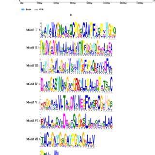 Exon-intron structure (a), sequence alignment and nine conserved ...