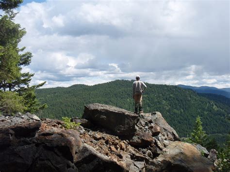 Greenwood – APEX Geoscience Ltd.