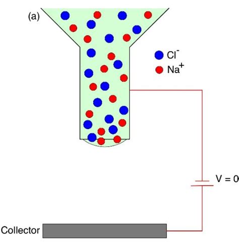 The Schematic Diagrams Explain The Dispersion Of Na And Cl In The Download Scientific