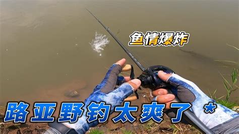 家里野钓资源太好了 有水的地方就能连杆翘嘴 明天还来玩 Youtube